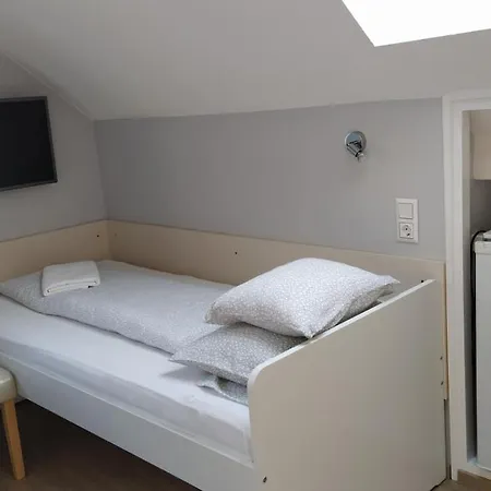 Pensionat Erika Vendeghaz 3*